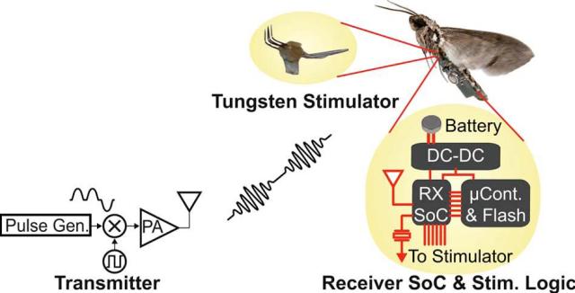 A diagram showing the radio system for a remote-control moth