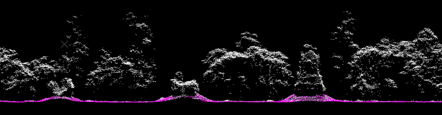 Pre-Angkorian towers of Sambor Prei Kuk among the trees. Courtesy McElhanney